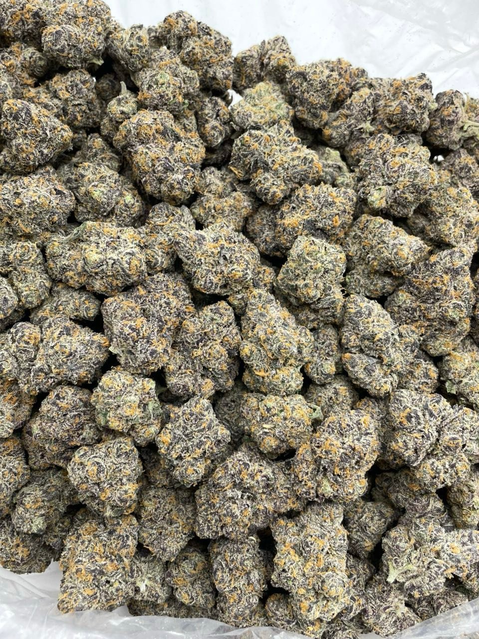 Passion Fruit Strain | Tropical Citrus Cannabis Flower Passion Fruit Strain | Tropical Citrus Cannabis Flower