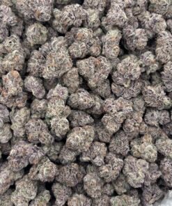 Wizard Trees Strain | Premium Exotic Hybrid Flower