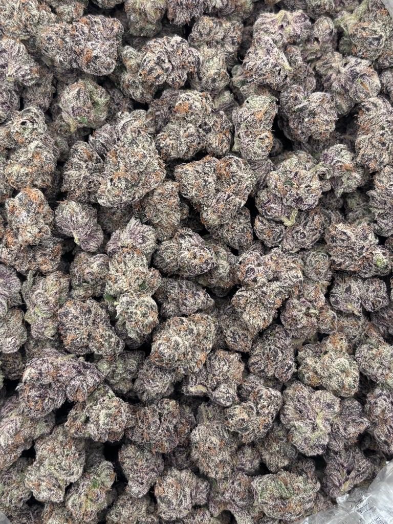 Wizard Trees Strain | Premium Exotic Hybrid Flower Wizard Trees Strain | Premium Exotic Hybrid Flower