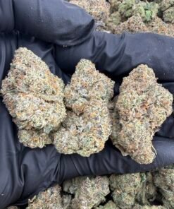 Blue Sierraz Strain | Exotic Berry Hybrid Cannabis Flower