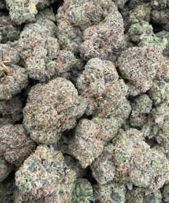 Blue Sierraz Strain | Exotic Berry Hybrid Cannabis Flower