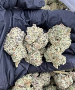 Oreoz Strain