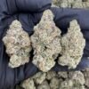 Mystical Gelato Strain