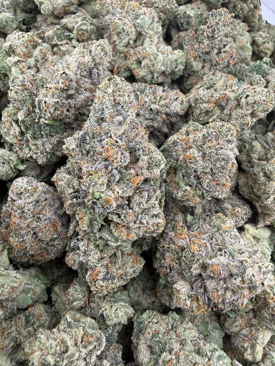 Mystical Gelato Strain Mystical Gelato Strain