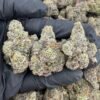 Permanent Shade Strain – Premium Indica-Leaning Hybrid Flower