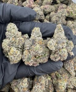 Permanent Shade Strain – Premium Indica-Leaning Hybrid Flower