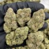 Warheadz Strain – Sour Candy Hybrid Cannabis Flower