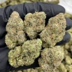 Warheadz Strain – Sour Candy Hybrid Cannabis Flower