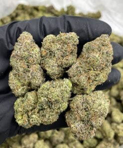 Warheadz Strain – Sour Candy Hybrid Cannabis Flower