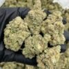 Strawberry Sprite Strain – Sweet Strawberry Lemon-Lime Cannabis Flower