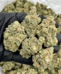 Strawberry Sprite Strain – Sweet Strawberry Lemon-Lime Cannabis Flower