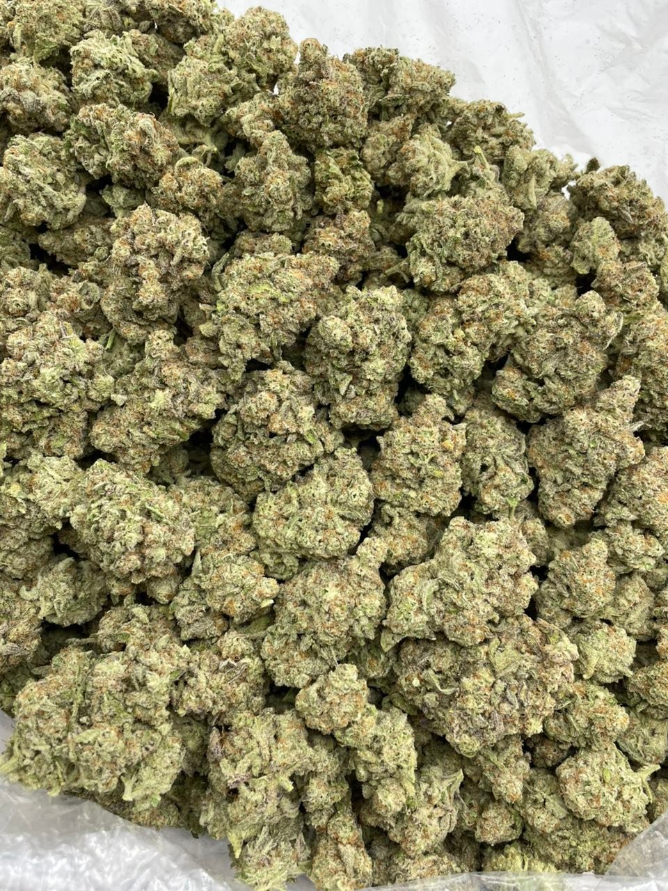 Strawberry Sprite Strain – Sweet Strawberry Lemon-Lime Cannabis Flower Strawberry Sprite Strain – Sweet Strawberry Lemon-Lime Cannabis Flower