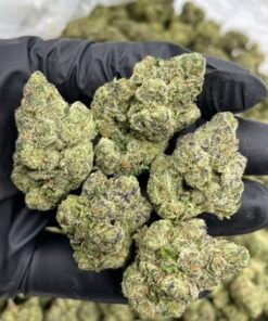 Frozen Funfetti Strain | Sweet Frosty Dessert Hybrid