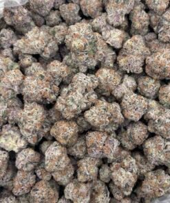 The Curse Strain | Sweet Citrus Diesel Hybrid