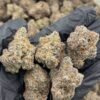 Blue Walker Weed Strain – Sativa-Dominant Hybrid Cannabis Flower