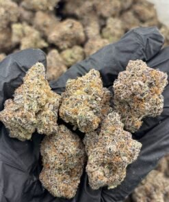 Blue Walker Weed Strain – Sativa-Dominant Hybrid Cannabis Flower