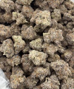 Blue Walker Weed Strain – Sativa-Dominant Hybrid Cannabis Flower