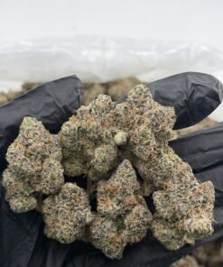Cotton Candy Grapes Weed Strain | Sweet Grape Hybrid Flower