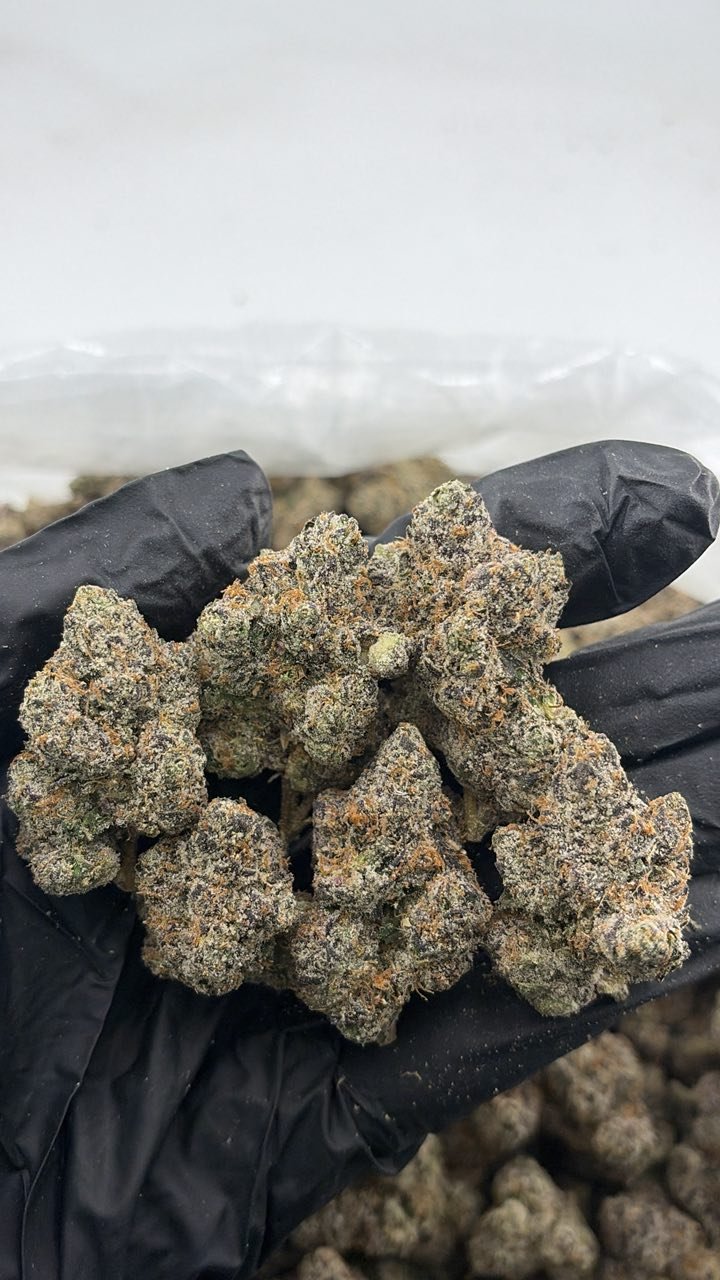 Cotton Candy Grapes Weed Strain | Sweet Grape Hybrid Flower Cotton Candy Grapes Weed Strain | Sweet Grape Hybrid Flower