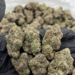 Berry Blast Weed Strain | Sweet Berry Hybrid Cannabis Flower