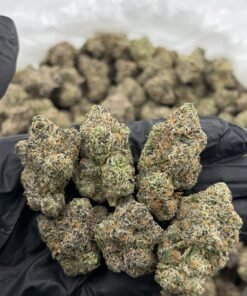 Berry Blast Weed Strain | Sweet Berry Hybrid Cannabis Flower