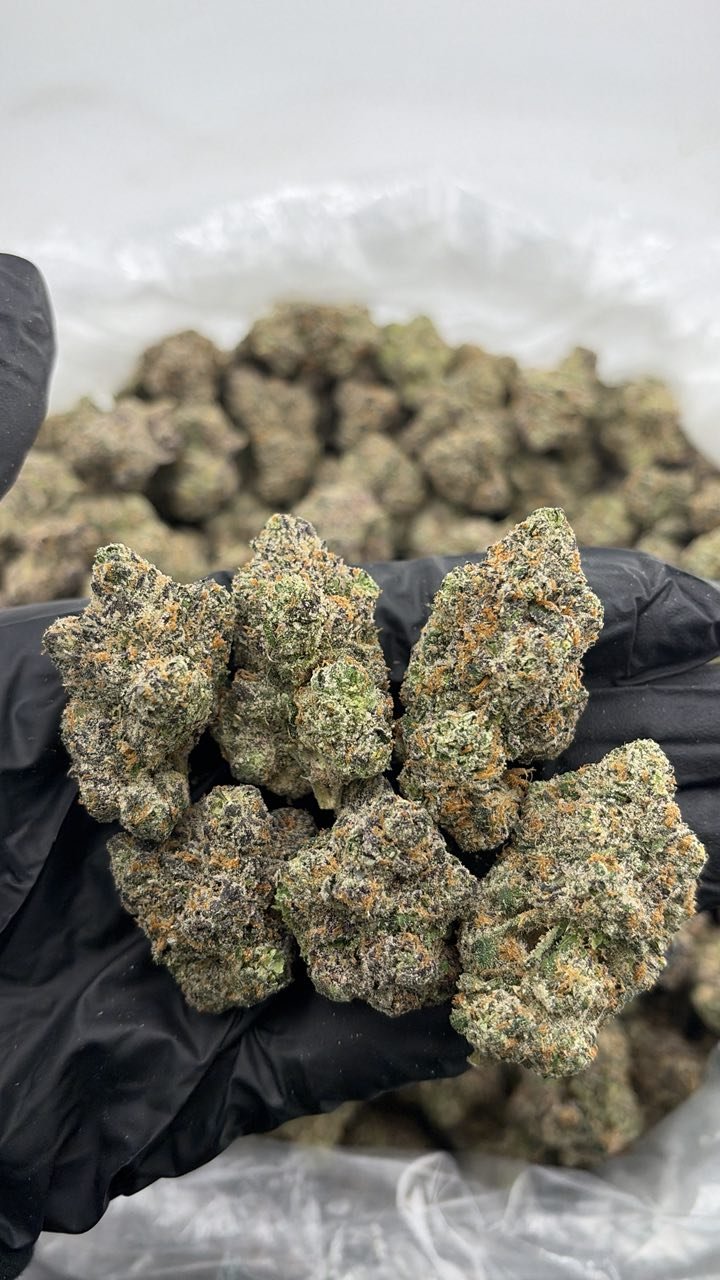 Berry Blast Weed Strain | Sweet Berry Hybrid Cannabis Flower Berry Blast Weed Strain | Sweet Berry Hybrid Cannabis Flower