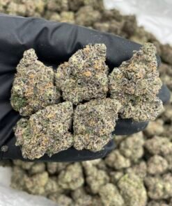 Peanut Butter Zkittlez Weed Strain | Nutty Candy Hybrid Flower