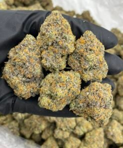 Cherry Fun Dip Weed Strain | Sour Cherry Candy Hybrid Flower