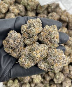 Peach Runtz Weed Strain | Sweet Peach Candy Hybrid Flower