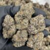 Bubblegum Runtz Weed Strain | Sweet Hybrid Cannabis Flower