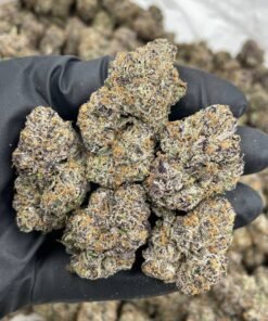Bubblegum Runtz Weed Strain | Sweet Hybrid Cannabis Flower