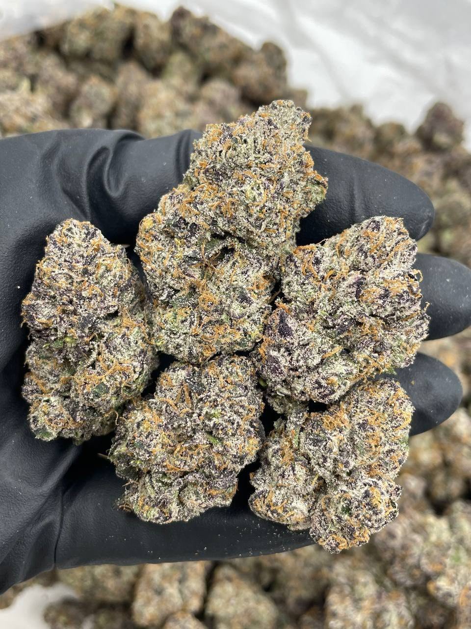 Bubblegum Runtz Weed Strain | Sweet Hybrid Cannabis Flower Bubblegum Runtz Weed Strain | Sweet Hybrid Cannabis Flower