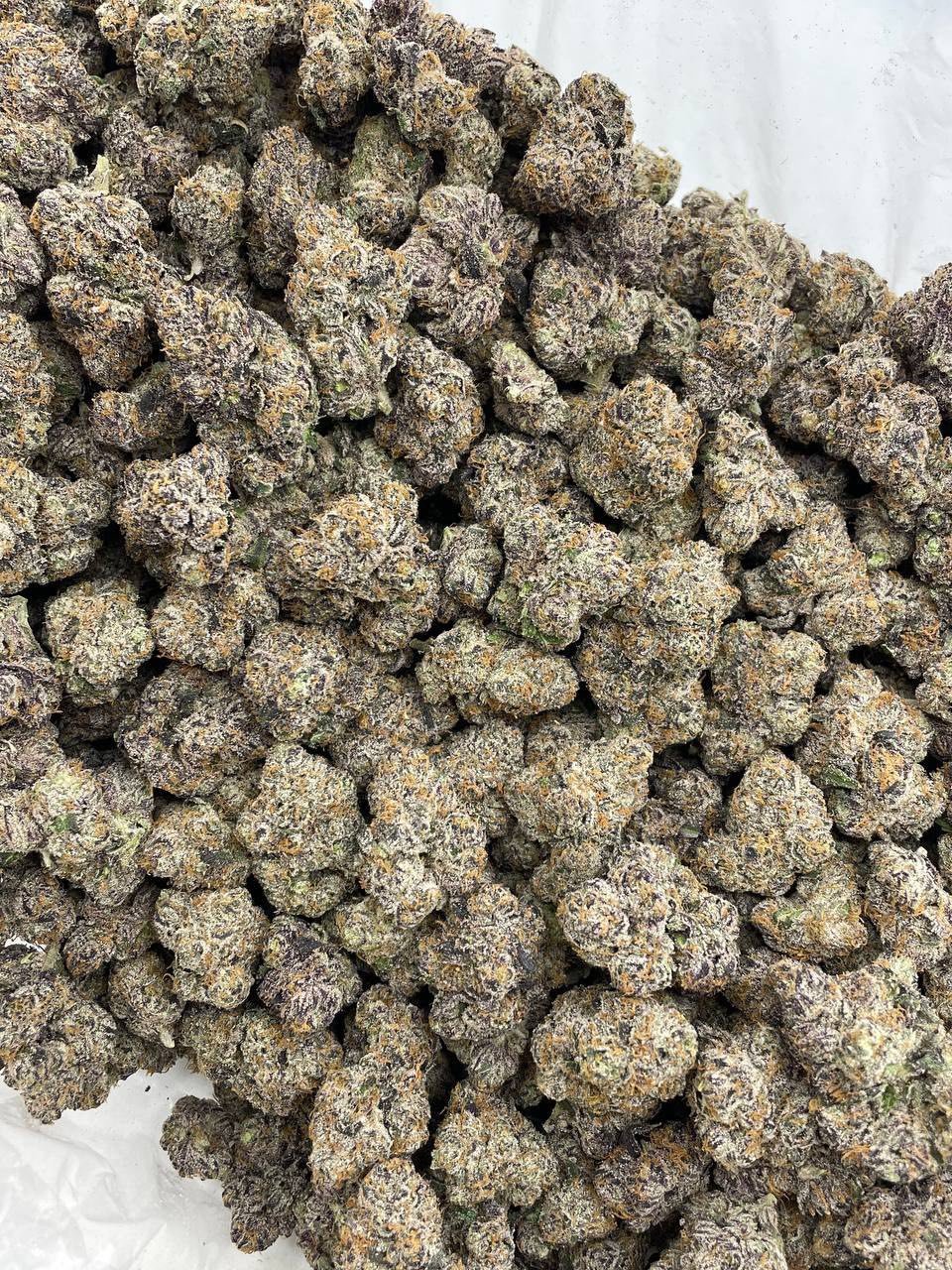 Bubblegum Runtz Weed Strain | Sweet Hybrid Cannabis Flower Bubblegum Runtz Weed Strain | Sweet Hybrid Cannabis Flower
