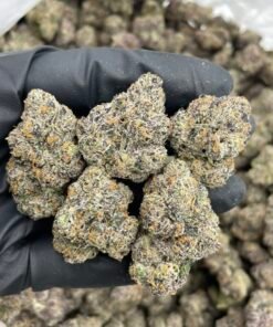 Tornado Runtz Weed Strain | Sweet Hybrid Cannabis Flower