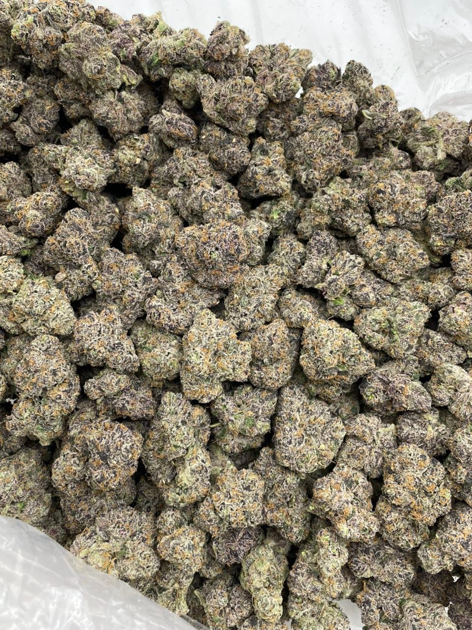Tornado Runtz Weed Strain | Sweet Hybrid Cannabis Flower Tornado Runtz Weed Strain | Sweet Hybrid Cannabis Flower