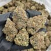 Peach Mimosa Weed Strain | Sweet Sativa-Dominant Hybrid