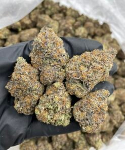 Peach Mimosa Weed Strain | Sweet Sativa-Dominant Hybrid