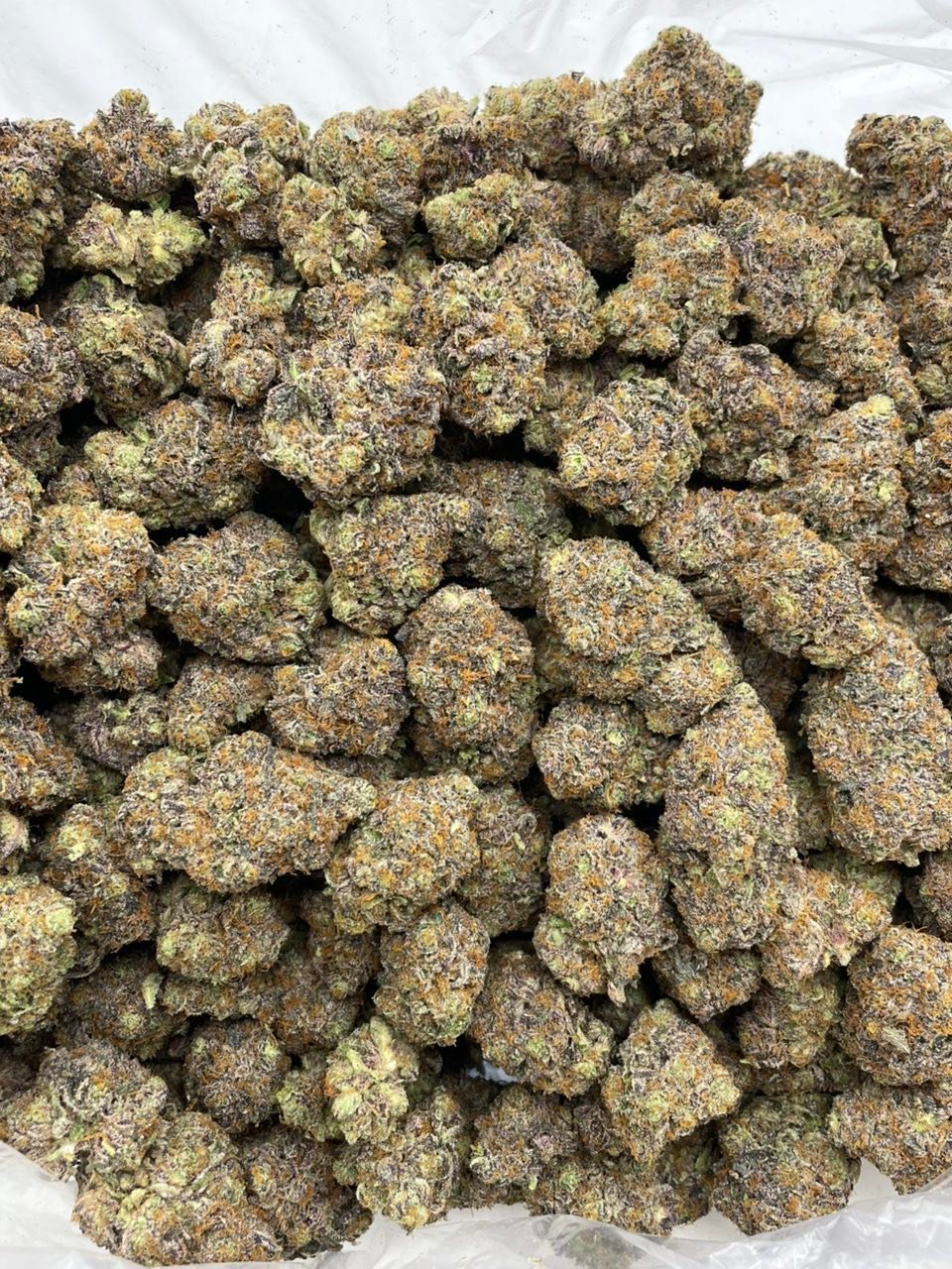 Peach Mimosa Weed Strain | Sweet Sativa-Dominant Hybrid Peach Mimosa Weed Strain | Sweet Sativa-Dominant Hybrid