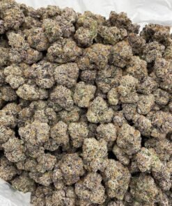 Party Popperz Weed Strain | Candy Gas Hybrid Flower