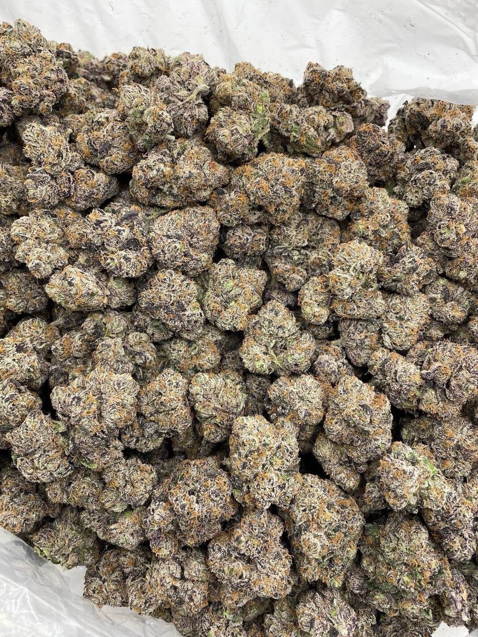 Party Popperz Weed Strain | Candy Gas Hybrid Flower Party Popperz Weed Strain | Candy Gas Hybrid Flower