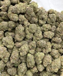 Grape Dosido Weed Strain | Sweet Grape Hybrid Flower