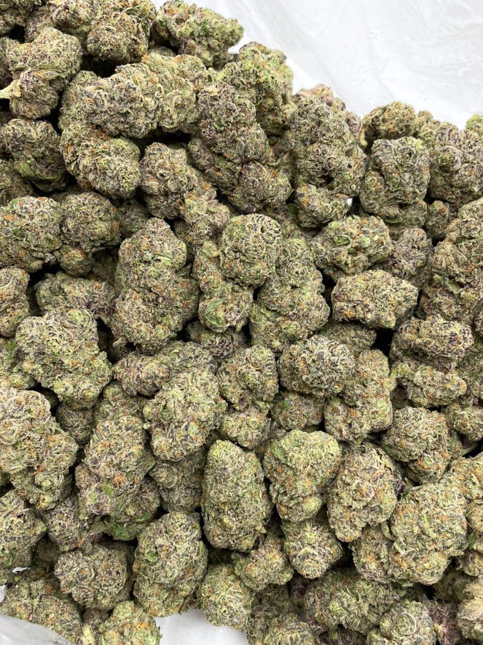 Grape Dosido Weed Strain | Sweet Grape Hybrid Flower Grape Dosido Weed Strain | Sweet Grape Hybrid Flower