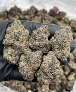 Permanent Dosi Weed Strain | Chemical Gas Hybrid Flower