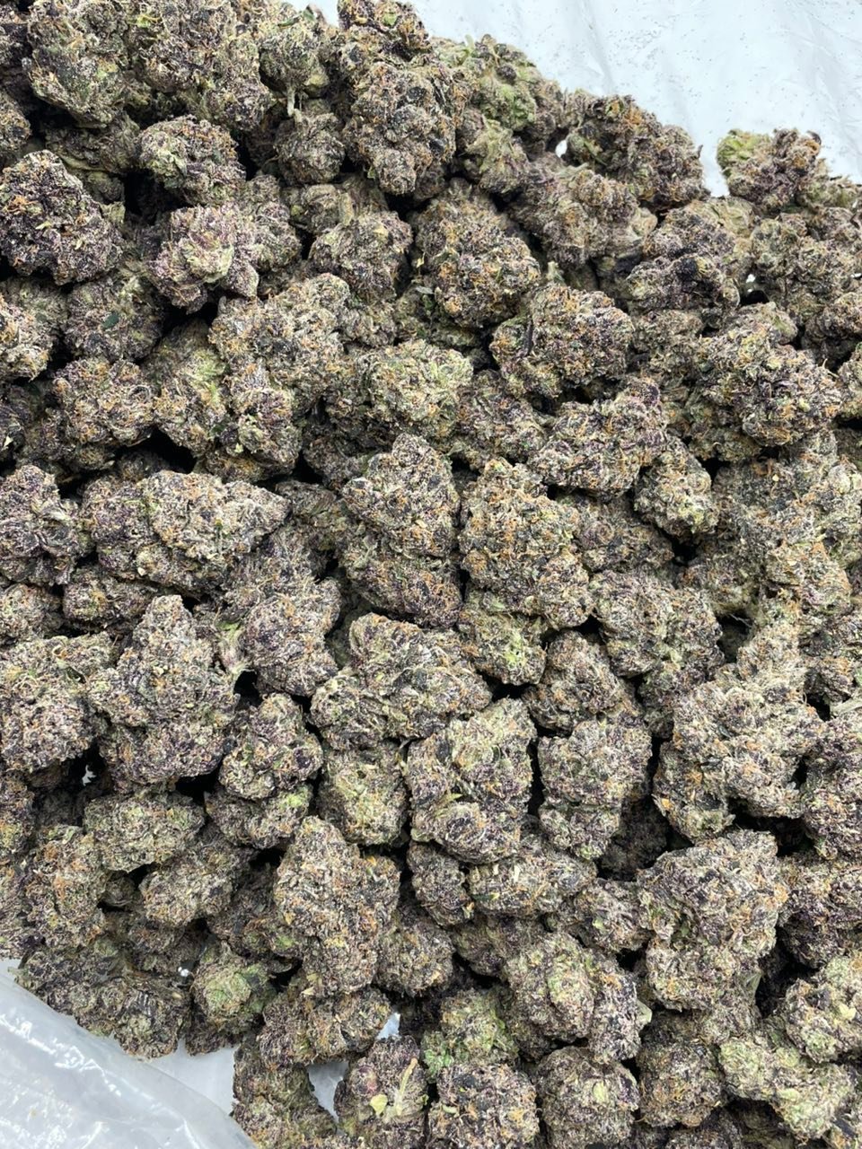 Permanent Dosi Weed Strain | Chemical Gas Hybrid Flower Permanent Dosi Weed Strain | Chemical Gas Hybrid Flower