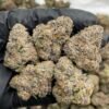Zourburst Weed Strain | Sour Candy Hybrid Flower