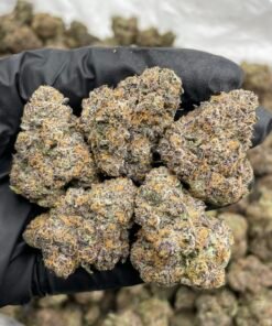 Zourburst Weed Strain | Sour Candy Hybrid Flower