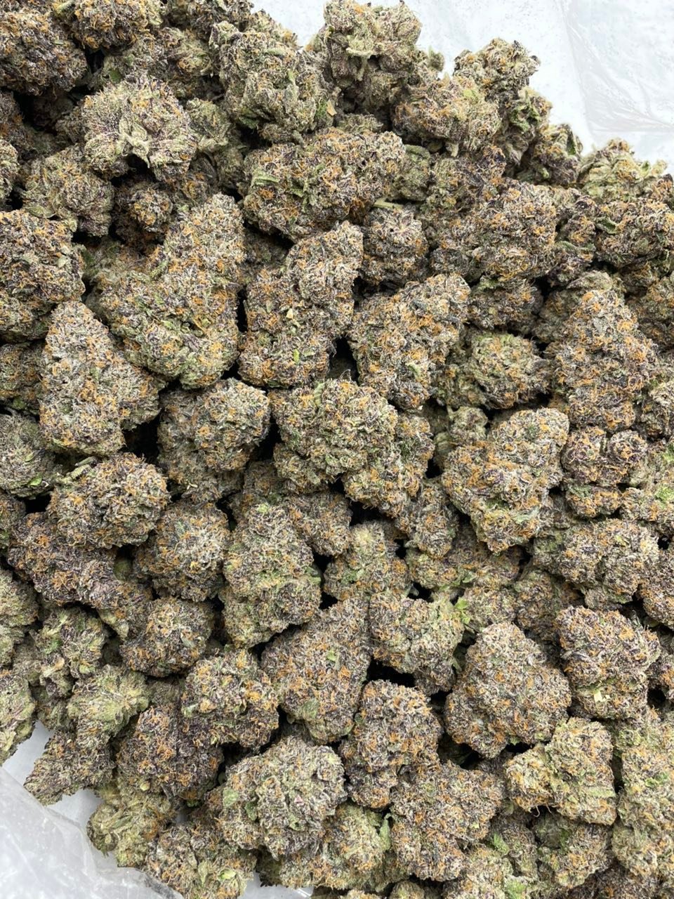 Zourburst Weed Strain | Sour Candy Hybrid Flower Zourburst Weed Strain | Sour Candy Hybrid Flower