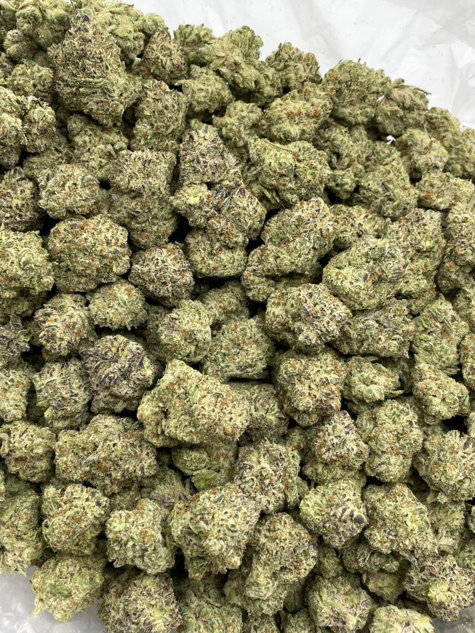 Milkshakes Weed Strain | Creamy Dessert Hybrid Flower Milkshakes Weed Strain | Creamy Dessert Hybrid Flower