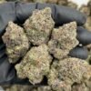 Cotton Candy Sprite Weed Strain | Sweet Citrus Hybrid Flower