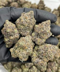 Cotton Candy Sprite Weed Strain | Sweet Citrus Hybrid Flower